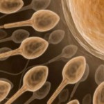 infertilidad-masculina-causas_full
