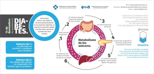 diabetes 02