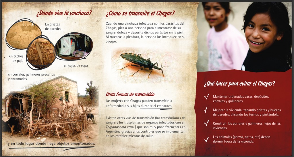 chagas 4