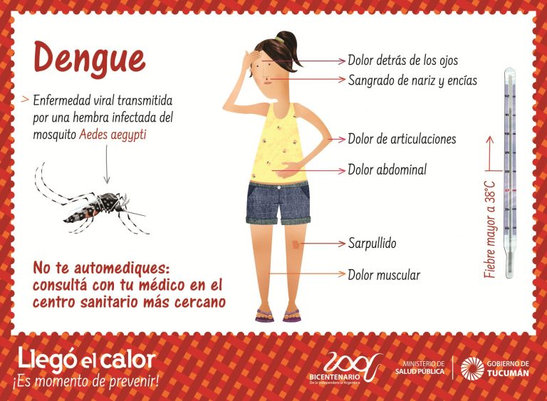 Dengue Zika Y Chikungunya Ministerio De Salud Pública De Tucumán