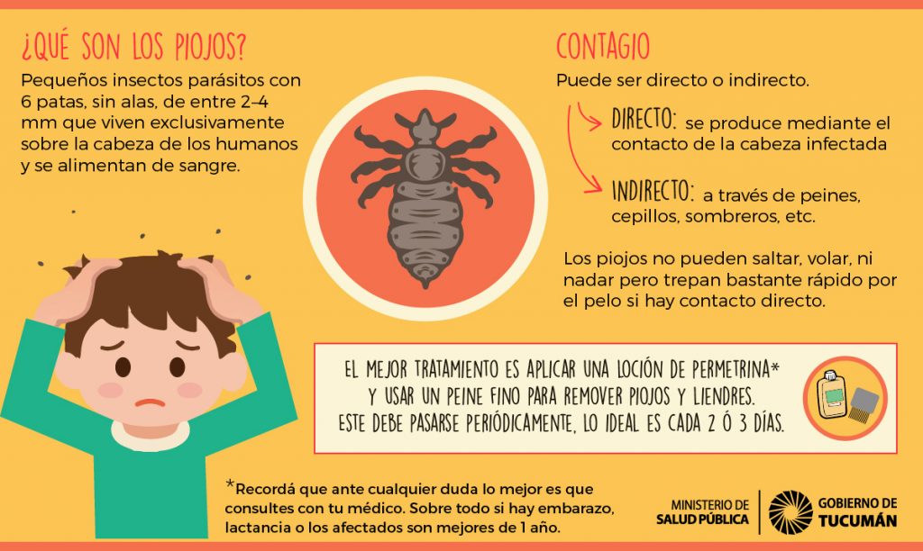 Cómo prevenir los piojos en los niños en época escolar – Ministerio de  Salud Pública de Tucumán