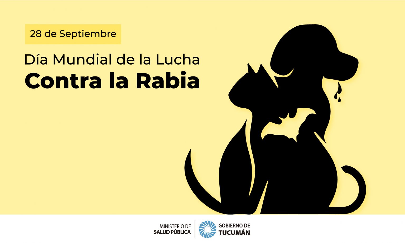 28 De Septiembre Día Mundial Contra La Rabia Ministerio De Salud Pública De Tucumán 2660