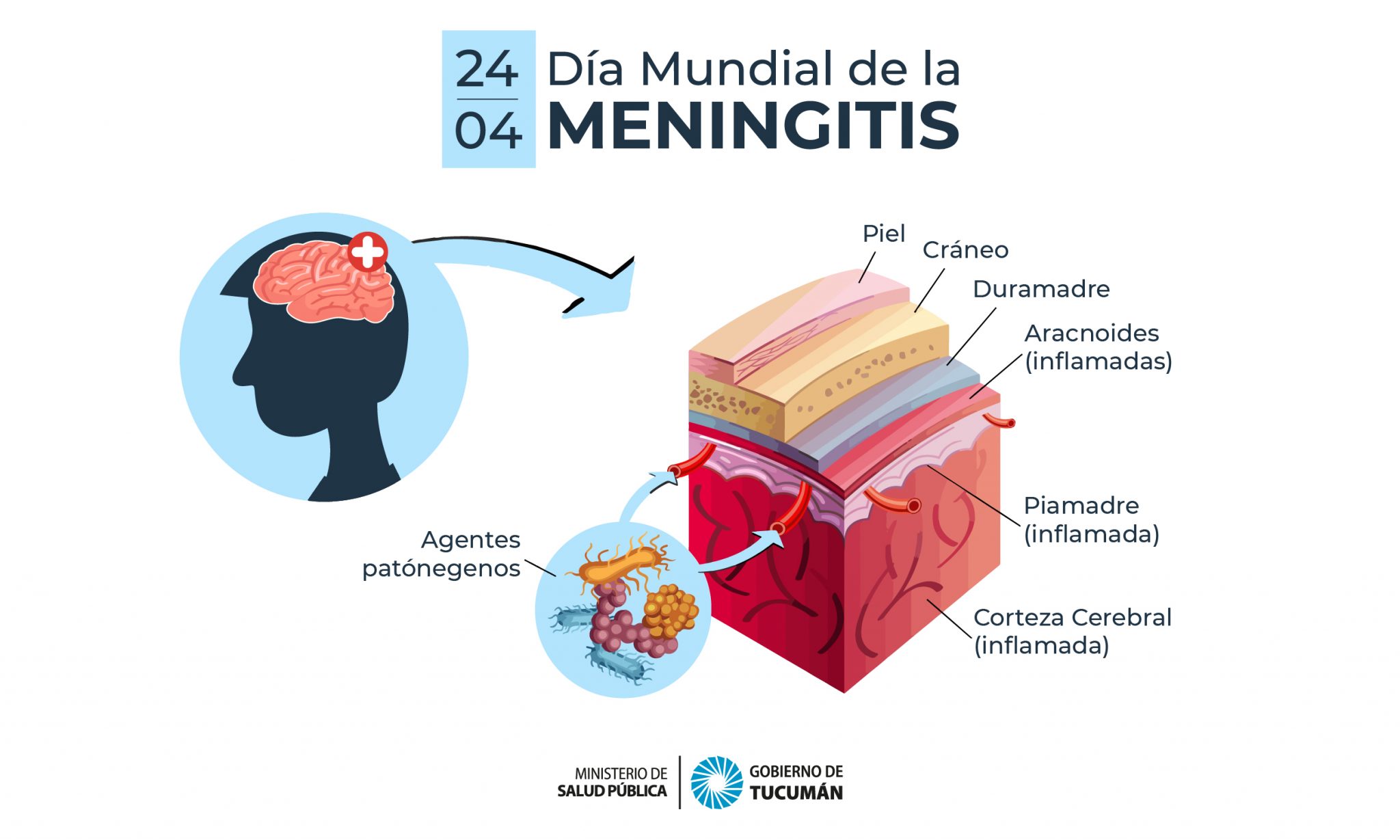 Día Mundial Contra La Meningitis - Ministerio De Salud Pública De Tucumán