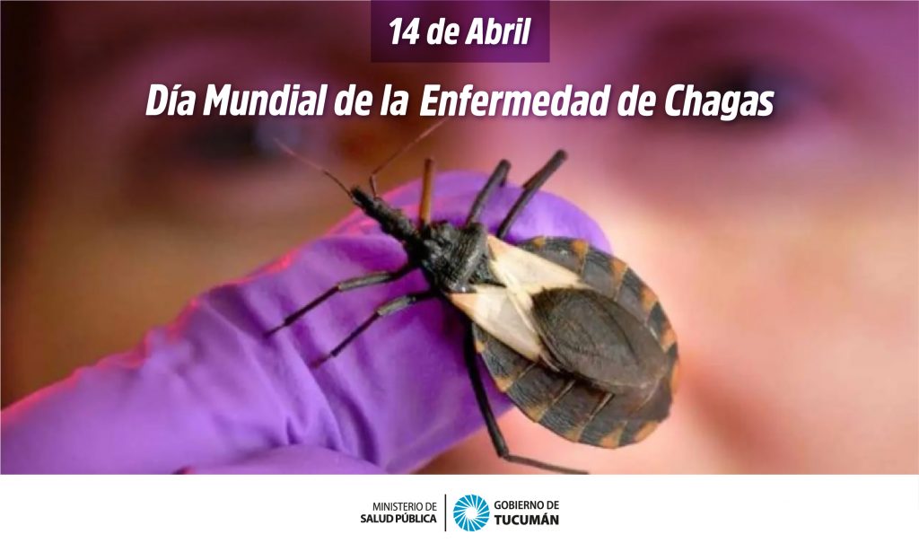 Se conmemora el Día Internacional de la Lucha contra la Enfermedad de Chagas – Ministerio de Salud Pública de Tucumán