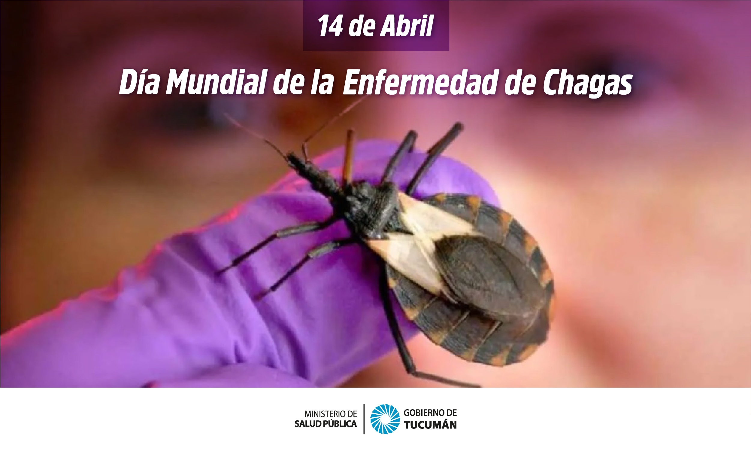 Se Conmemora El Día Internacional De La Lucha Contra La Enfermedad De Chagas Ministerio De