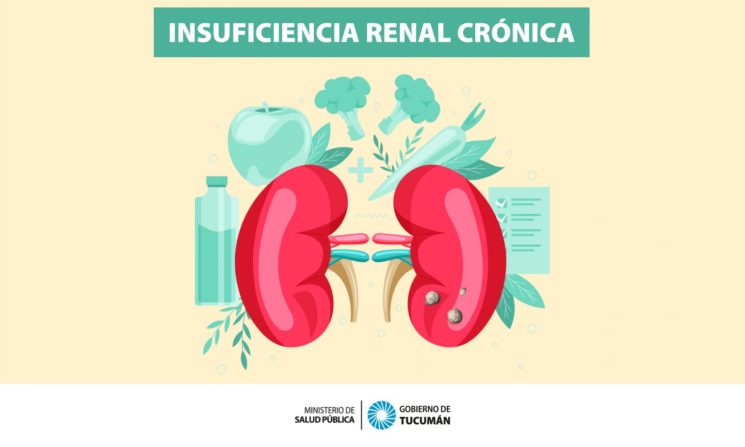 Insuficiencia Renal Crónica Una Enfermedad Silenciosa En La Que La Prevención Cumple Un Rol 2933