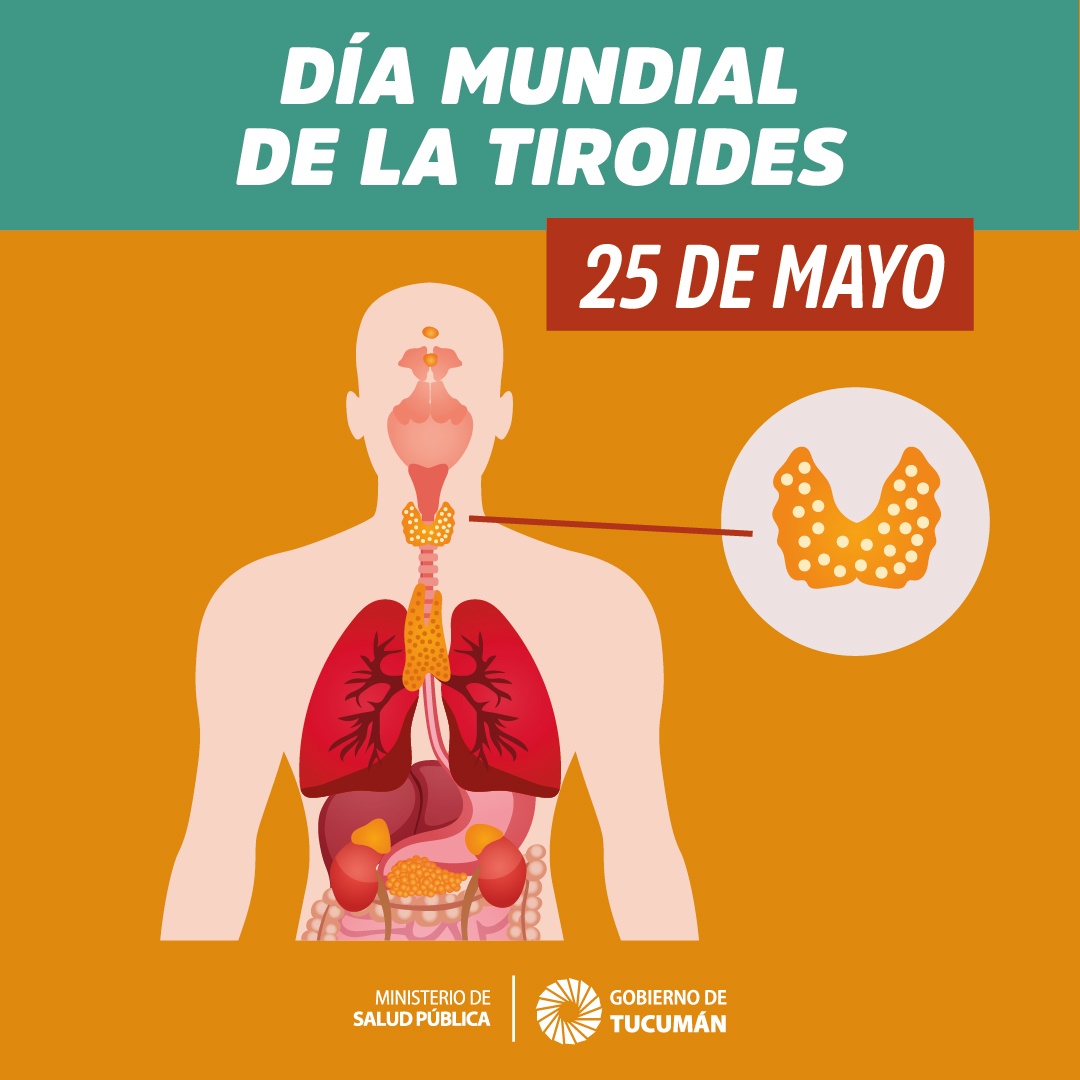 25 De Mayo Día Mundial De La Tiroides Ministerio De Salud Pública De Tucumán 7803