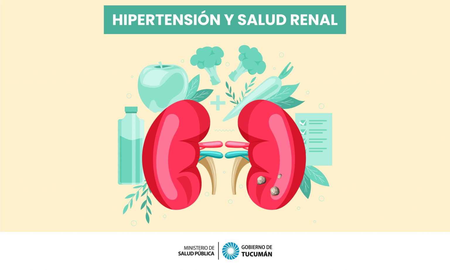 Relación Entre Hipertensión Arterial Y Problemas Renales Ministerio De Salud Pública De Tucumán 4956