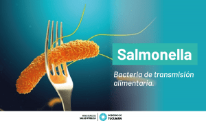 Salmonella: Cómo Se Transmite Esta Bacteria - Ministerio De Salud ...