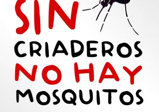 Dengue