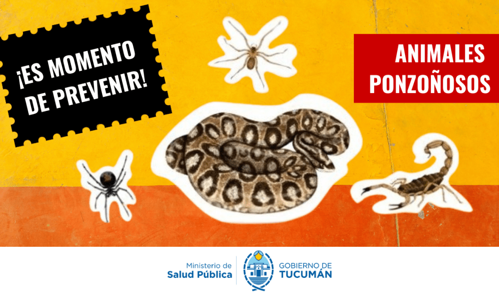 Refuerzan estrategias sanitarias para prevenir accidentes con animales ponzoñosos en zonas afectadas por inundaciones