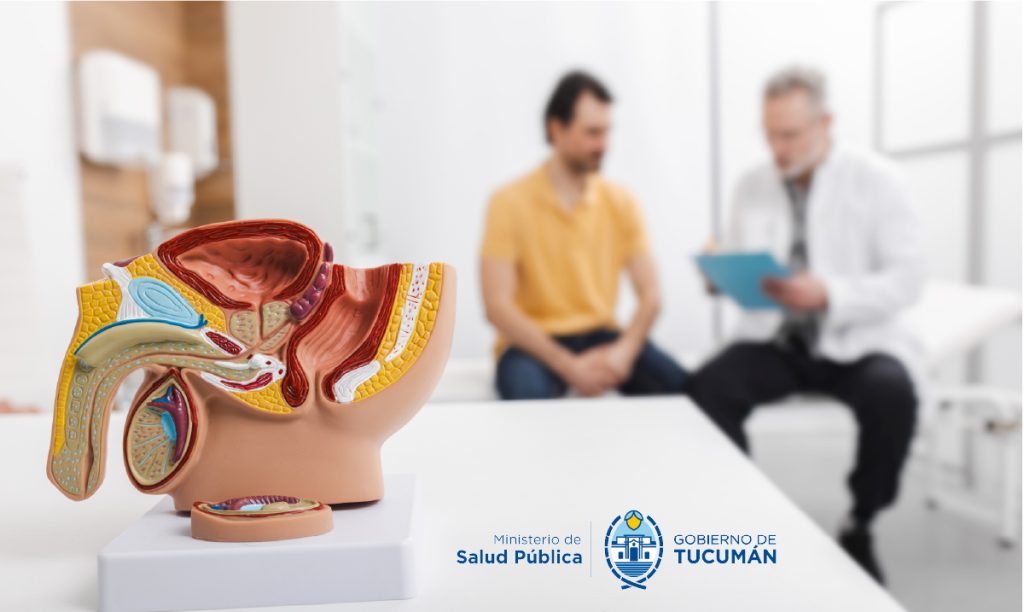 Importancia del autocontrol testicular para detección precoz de enfermedades