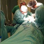 IMG-20140613-WA0010
