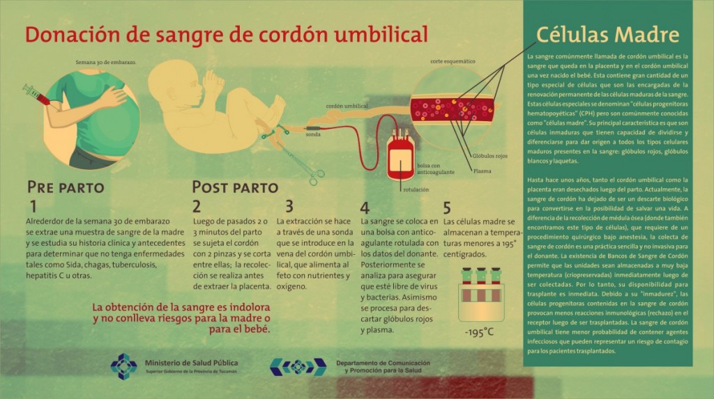 infografia01